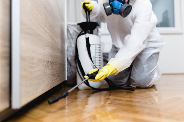 Best Commercial Pest Control Services  in West Falls Church, VA