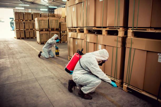 Best Flea Control Services  in West Falls Church, VA