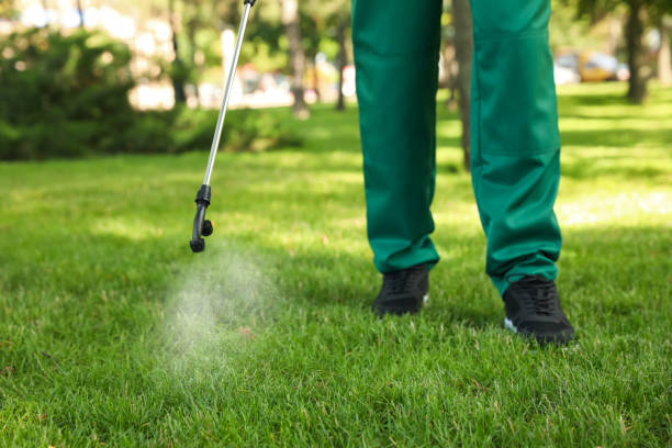 Professional Pest Control in West Falls Church, VA