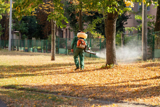 Pest Control for Restaurants in West Falls Church, VA